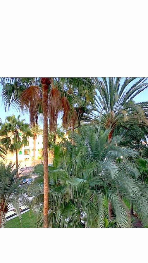 Maspalomas Del Mar ซานบาร์โตโลเม ภายนอก รูปภาพ